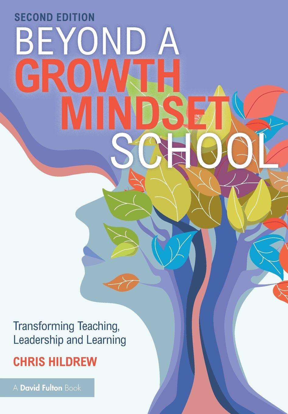 Kniha Beyond a Growth Mindset School Hildrew