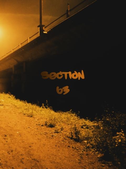 Kniha Section 63 Yushy