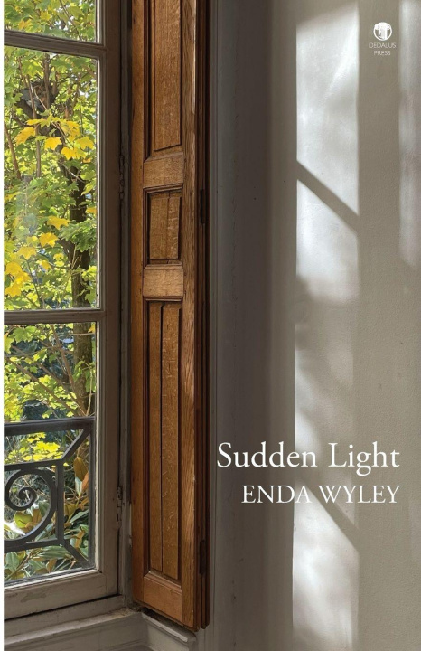 Kniha Sudden Light Enda Wyley