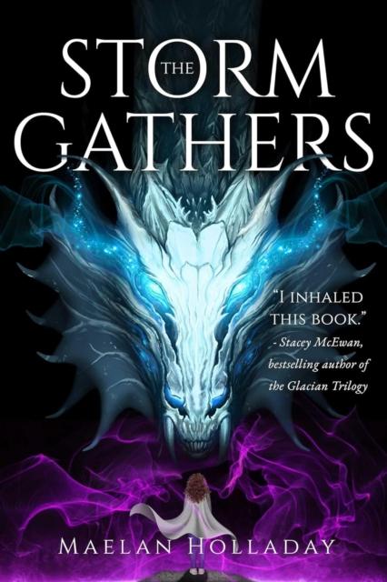 Boek Storm Gathers Maelan Holladay