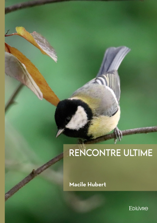 Kniha Rencontre ultime Macile Hubert