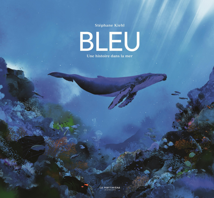 Kniha Bleu Stéphane Kiehl