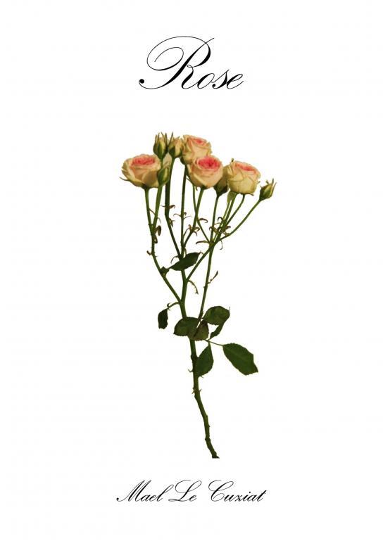 Kniha Rose Le Cuziat