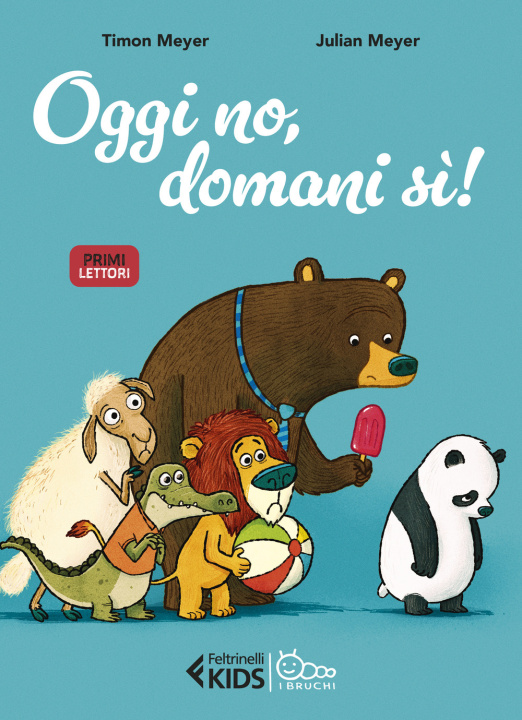 Buch Oggi no, domani sì! Timon Meyer