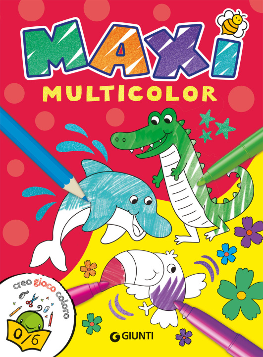 Kniha Maxi multicolr 