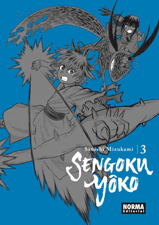 Kniha Sengoku Yoko 3 SATOSHI MIZUKAMI