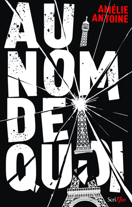 Buch Au nom de quoi ? Amélie Antoine
