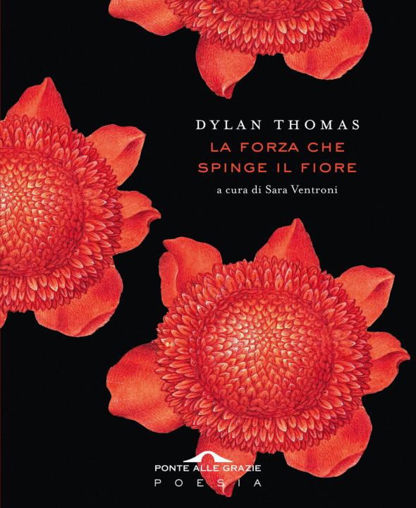 Книга forza che spinge il fiore Dylan Thomas