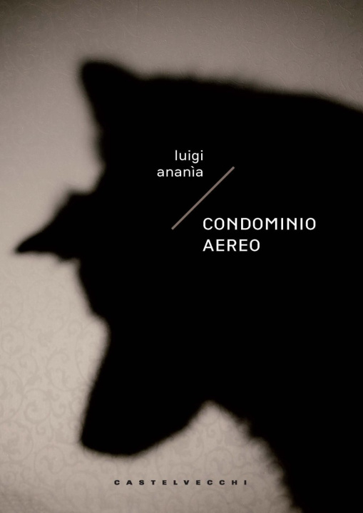 Kniha Condominio aereo Luigi Ananìa