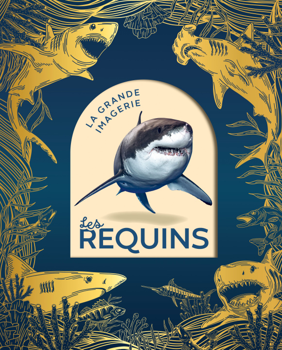 Kniha Les requins Cathy Franco