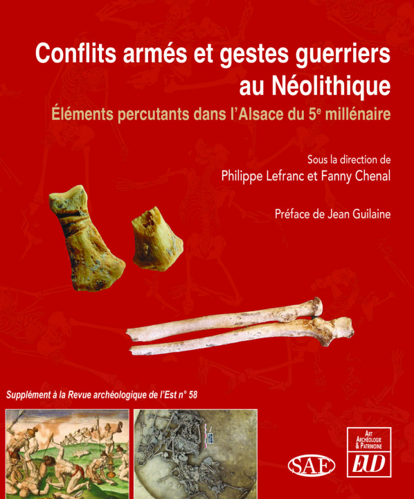 Kniha Conflits armés et gestes guerriers au Néolithique 