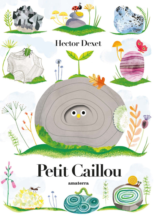 Buch Petit caillou 