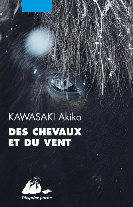 Kniha Des Chevaux et du Vent Akiko KAWASAKI