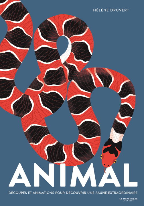 Buch Animal Hélène Druvert