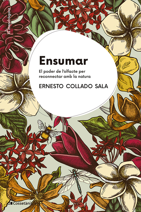 Kniha Ensumar Ernesto Collado Sala