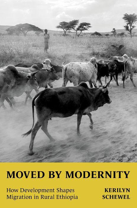 Kniha Moved by Modernity Schewel