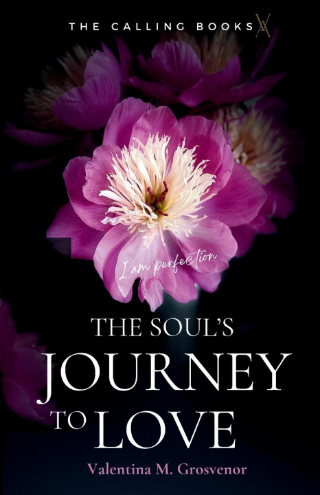Kniha The Soul's Journey to Love 