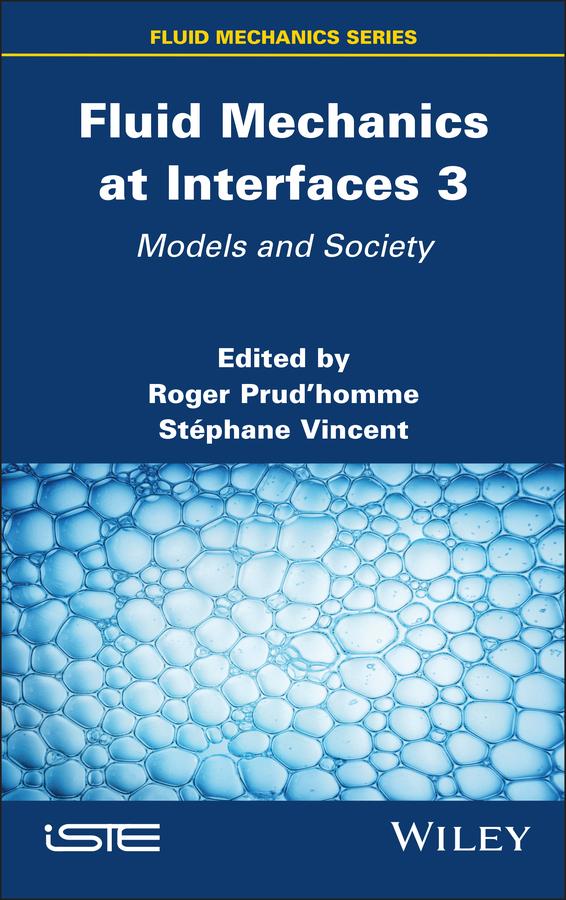 Boek Fluid Mechanics at Interfaces 3 Stephane Vincent