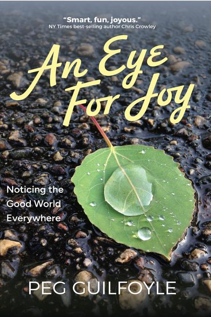 Kniha An Eye for Joy 