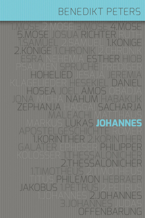 Kniha Kommentar zum Johannes-Evangelium 