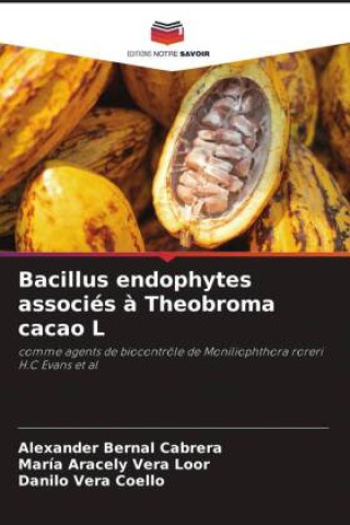 Kniha Bacillus endophytes associés ? Theobroma cacao L María Aracely Vera Loor