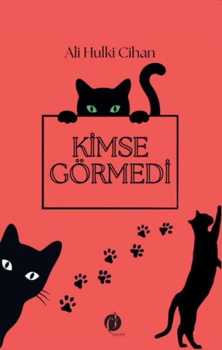 Kniha Kimse Görmedi 