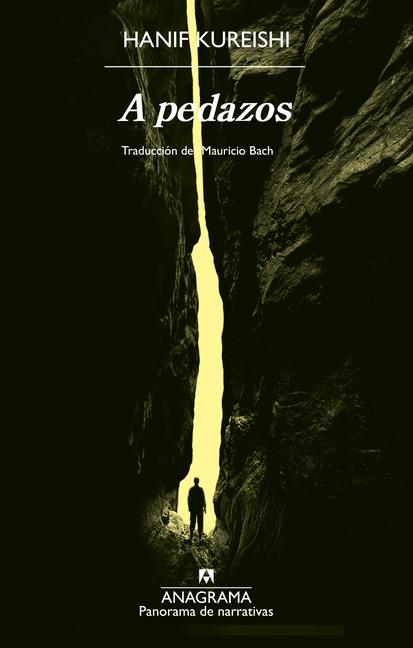 Buch A Pedazos Hanif Kureishi