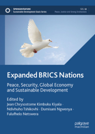 Kniha Expanded Brics Nations Ndivhuho Tshikovhi