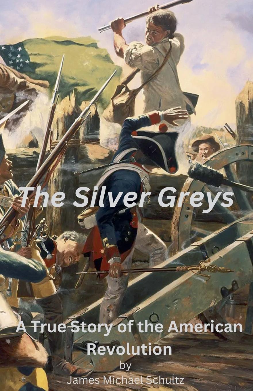 Kniha The Silver Greys James Michael Schultz