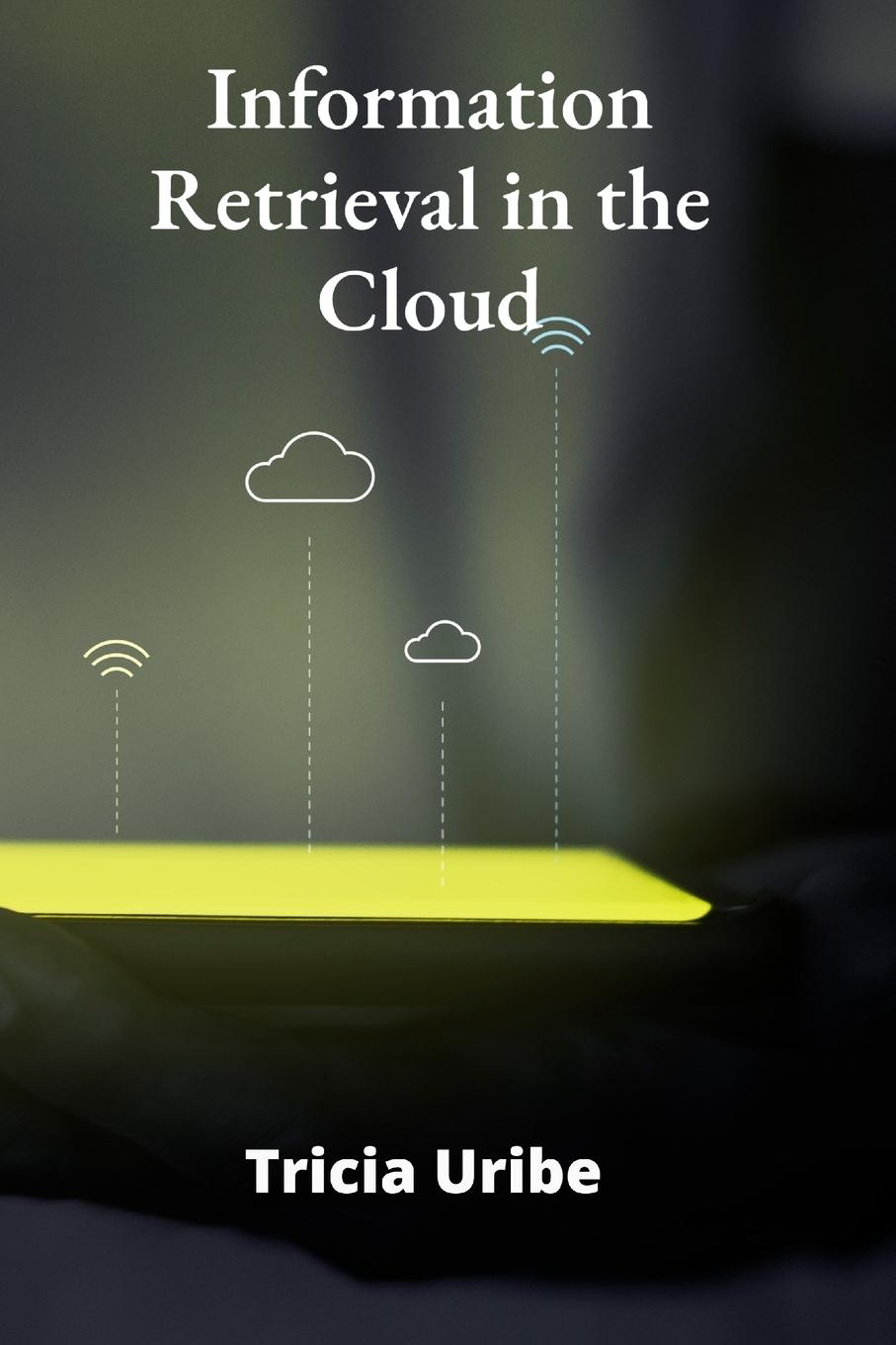 Kniha Information Retrieval in the Cloud 