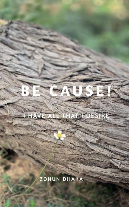 Kniha Be Cause! 