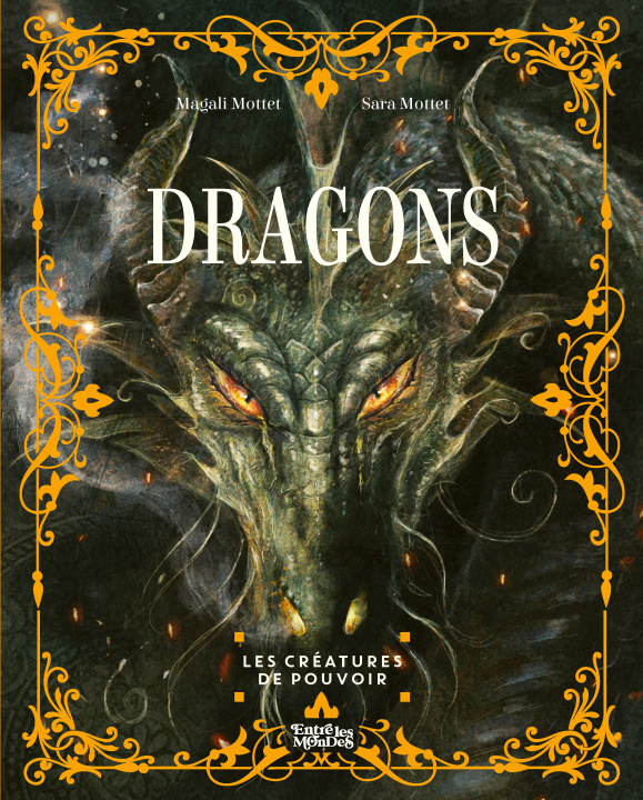 Buch Dragons Magali Mottet