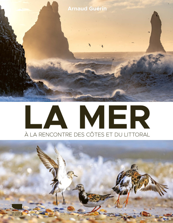 Kniha La Mer Arnaud Guérin
