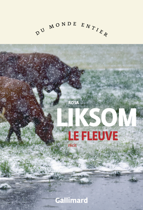 Kniha Väylä Liksom