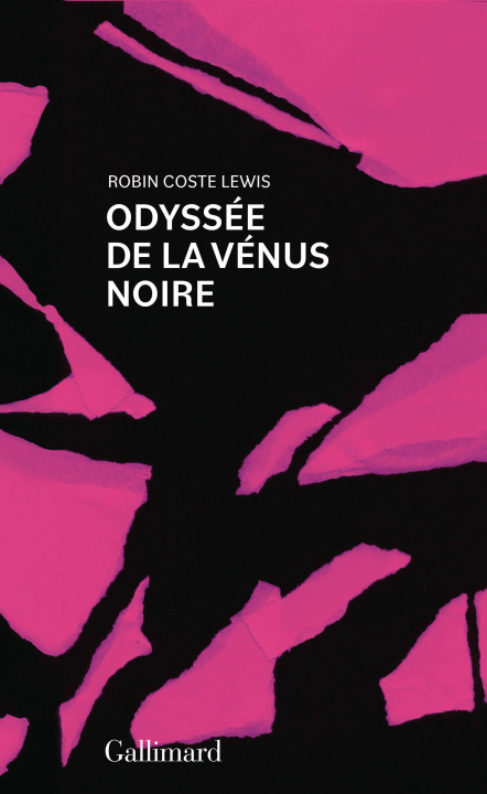 Kniha Voyage de la Vénus noire Coste Lewis