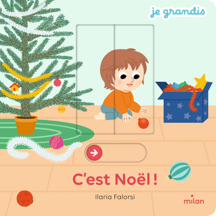 Buch C'est Noël ! Anne Blanchard