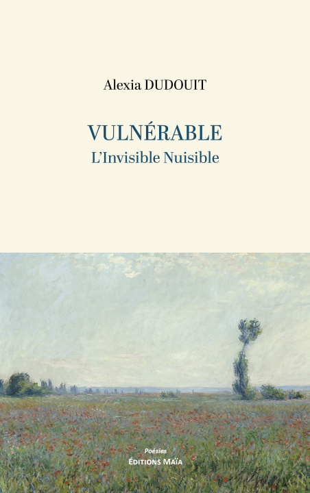 Kniha Vulnérable - L’Invisible Nuisible Alexia Dudouit