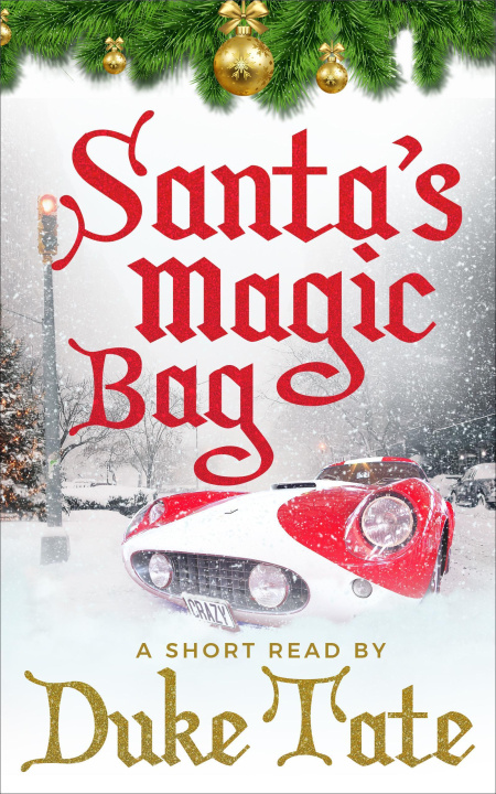 E-book Santa's Magic Bag Duke Tate