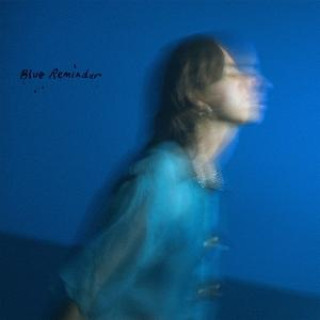Audio Blue Reminder Hand Habits