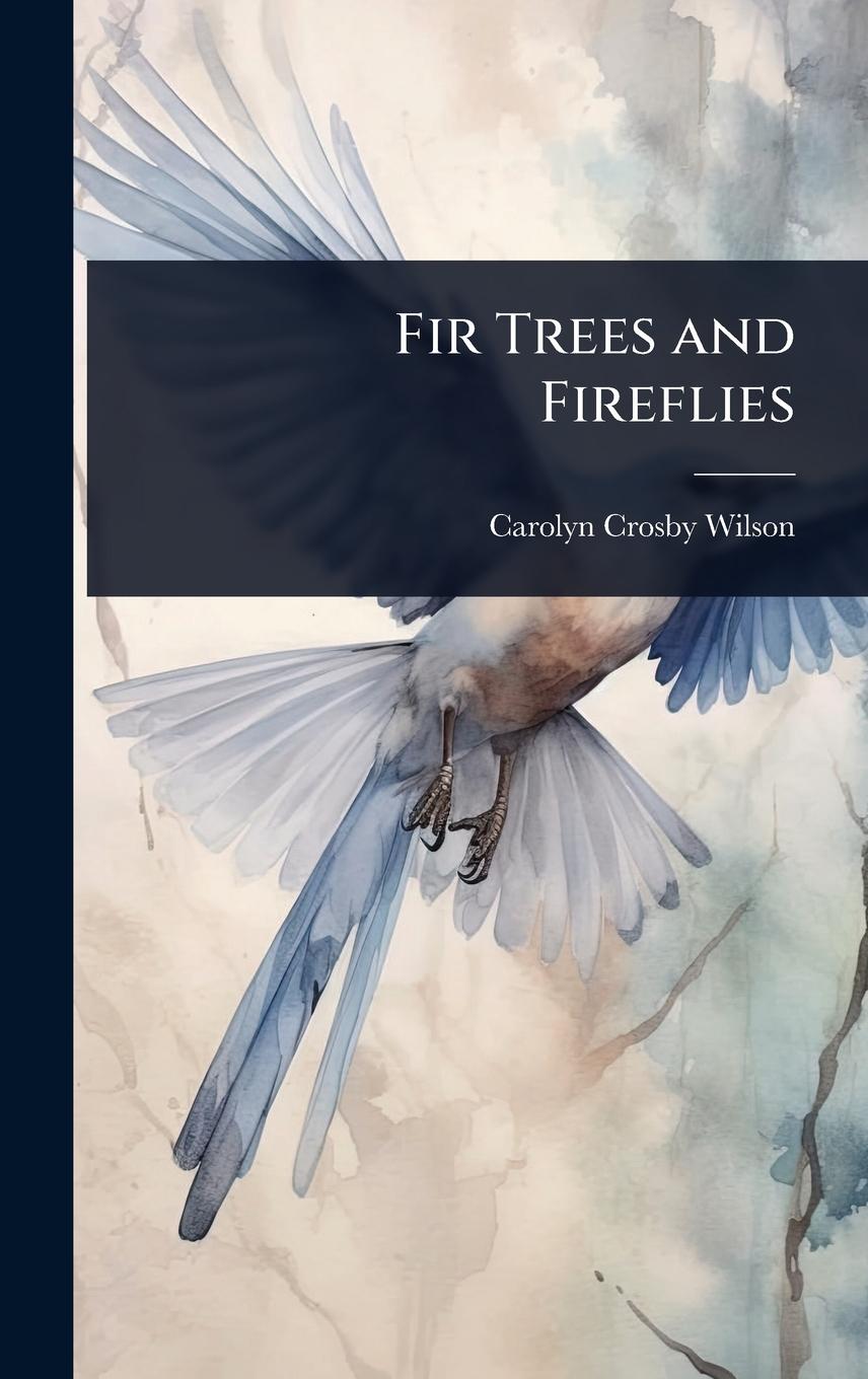 Kniha Fir Trees and Fireflies 