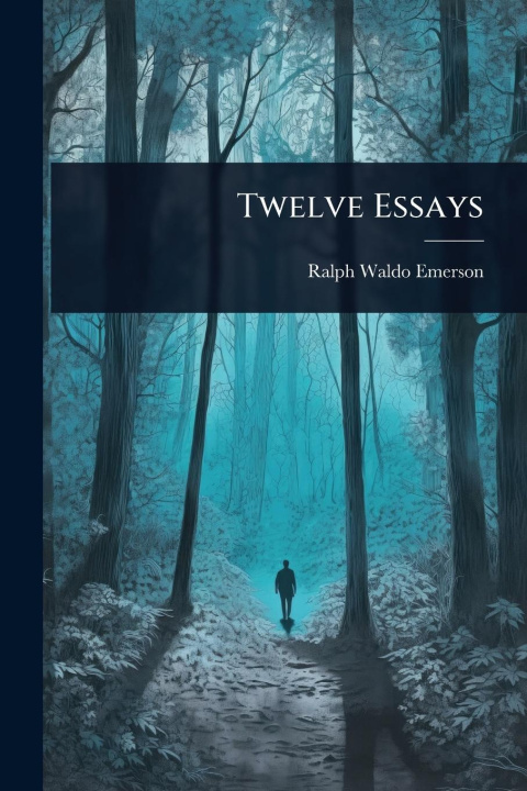 Kniha Twelve Essays 