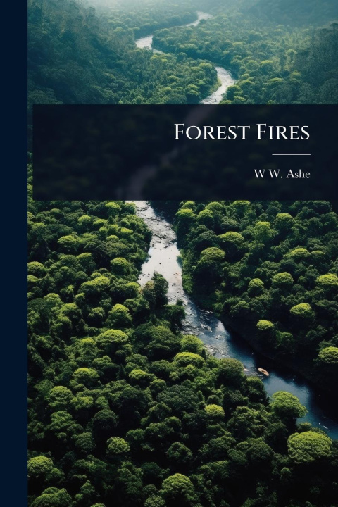 Kniha Forest Fires 