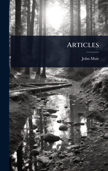 Knjiga Articles 