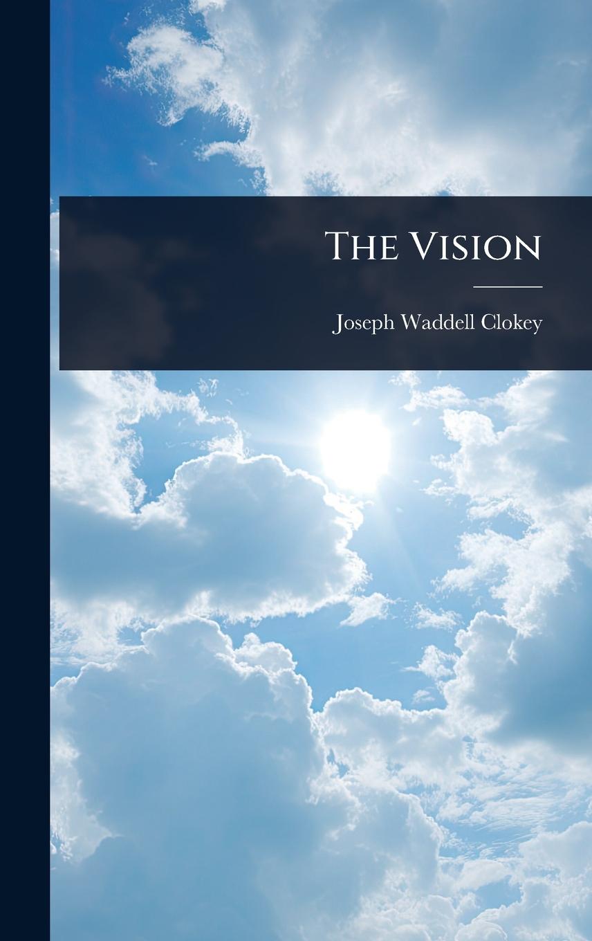 Knjiga The Vision 