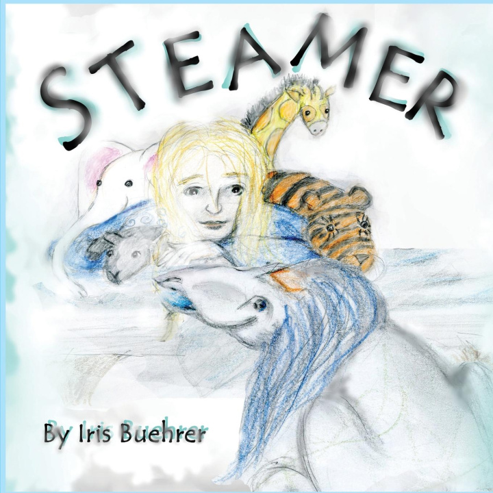 Kniha Steamer 