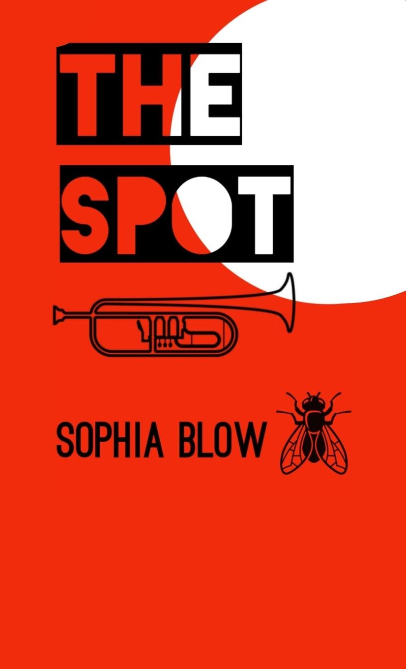 Kniha The Spot Jason Disley