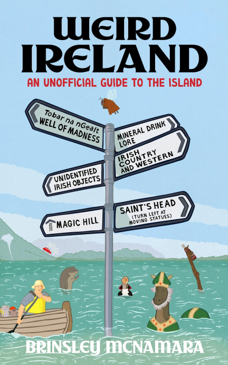 Kniha Weird Ireland MCNAMARA BRINSLEY