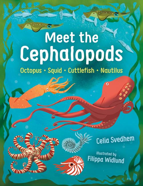 Buch Meet the Cephalopods Filippa Widlund