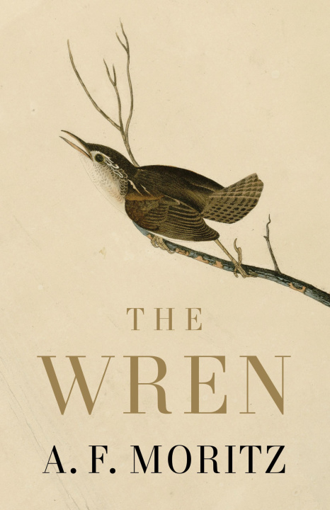 Kniha The Wren A.F. Moritz