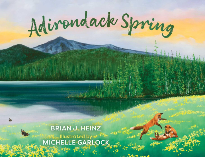 Kniha Adirondack Spring Michelle Garlock